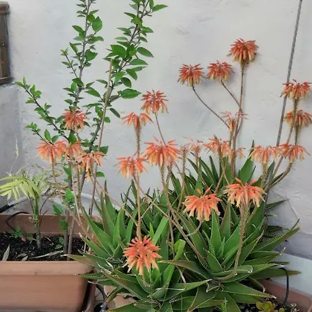 Nikita Traditional House Casa vacanze