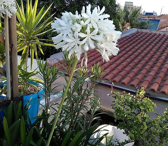 Holiday home Nikita Traditional House *