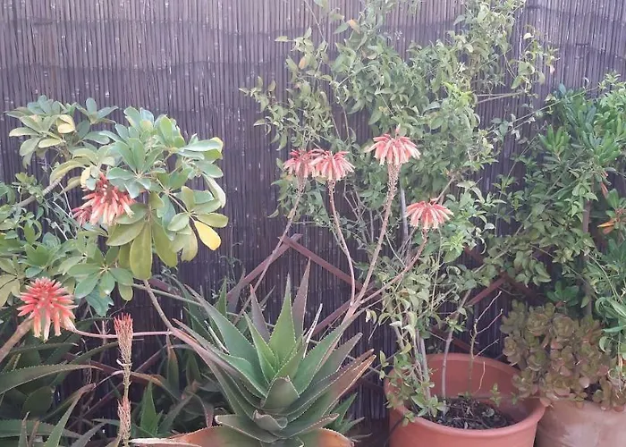 Nikita Traditional House * Chania (Crete)