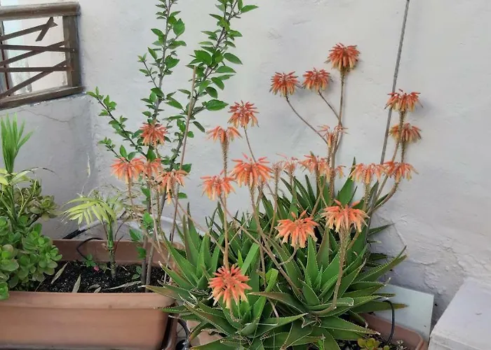 Nikita Traditional House Holiday home