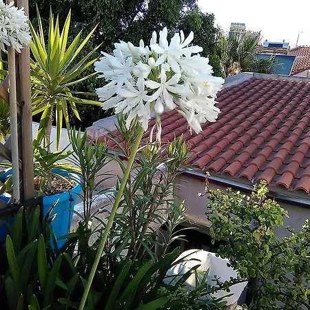 Prázdninový dům Nikita Traditional House *