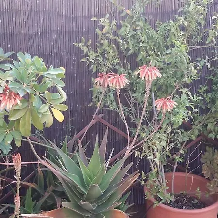 Nikita Traditional House * Chania (Crete)